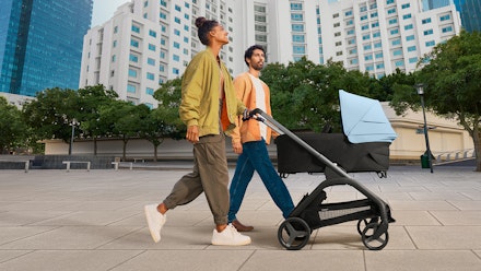 dragonfly-carrycot