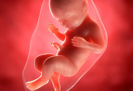 week401 40 week old pregnant