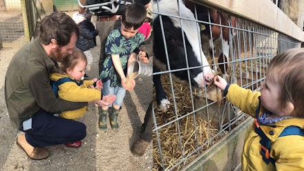 louis-farm