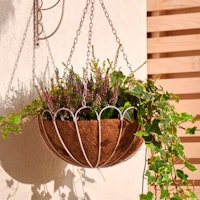 Scalloped Hanging Basket