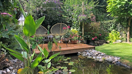 Garden-makeover-pond
