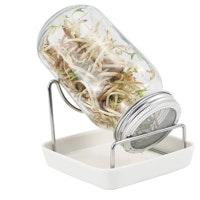 Zonte Seed Sprouting Jar Kit
