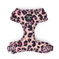 Hounds of Eden 'Blushing Leopard'
