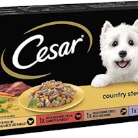 Cesar Country Stew Wet Dog Food for Adult Dogs 1+ Mixed Selection