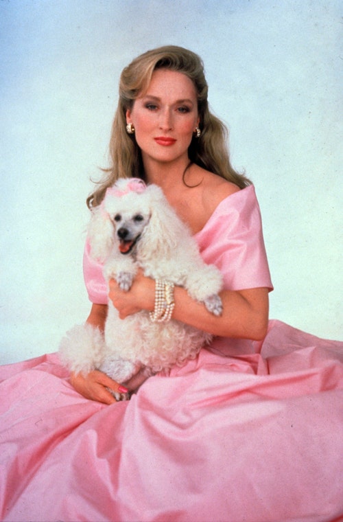 B7T491 She-Devil Year: 1989 USA Meryl Streep Director : Susan Seidelman. Image shot 1974. Exact date unknown. She-Devil Year