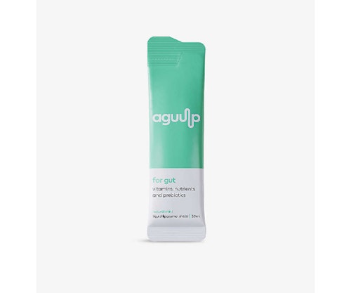 Aguulp Gut Supplement