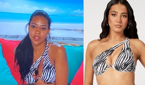 Amber's Zebra Bikini