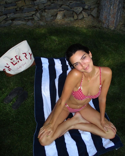 Kendall Jenner Fruity Booty bikini