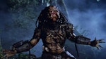 Predator