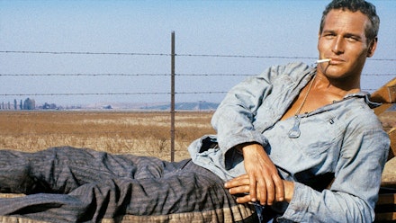 paul-newman Paul Newman