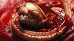 Alien – chestburster