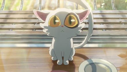 suzume-1