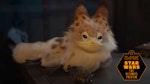 Loth-cat