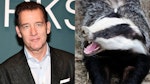 Clive Owen / Badger