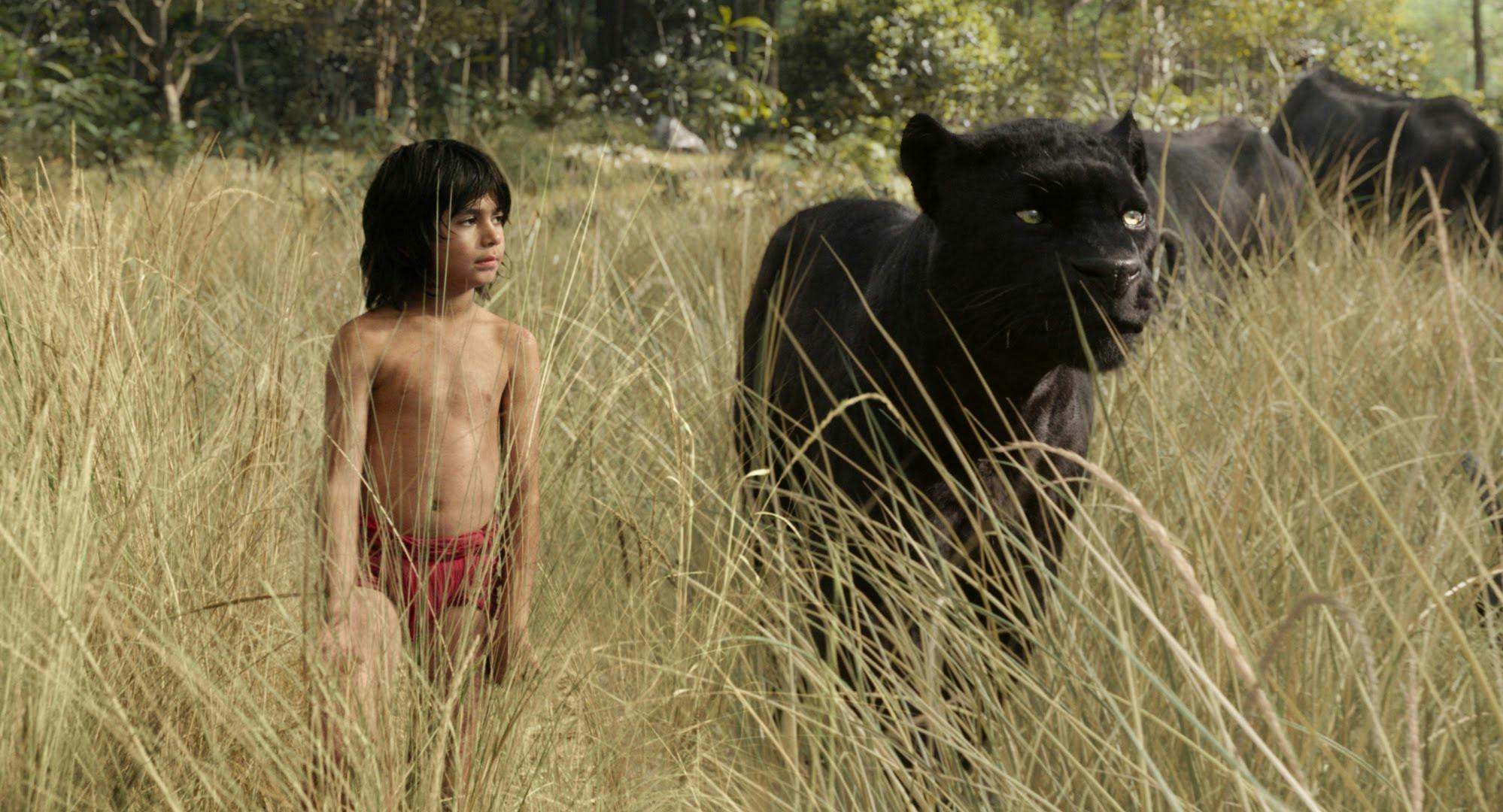 The-Jungle-Book