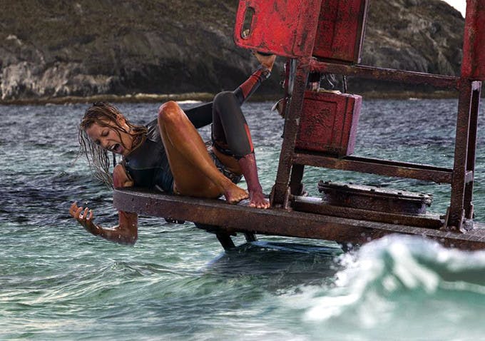 The-Shallows