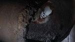 It 2017