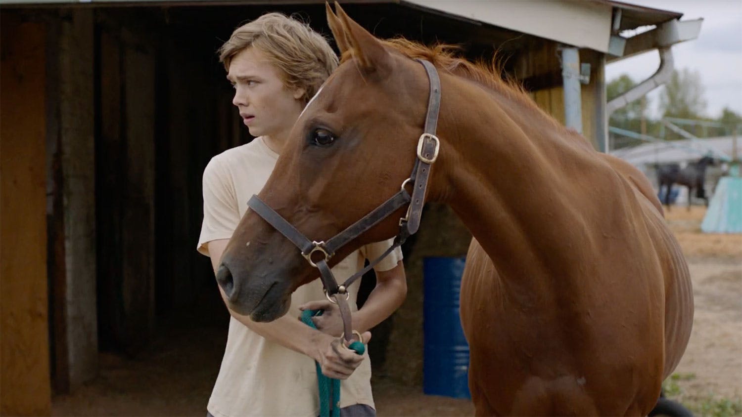 Lean on Pete