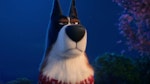 Rooster - Secret Life Of Pets 2