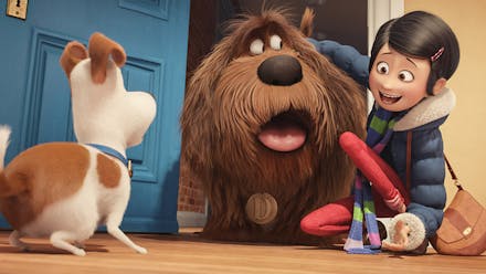 The Secret Life Of Pets