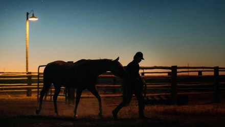 Lean On Pete Lean On Pete