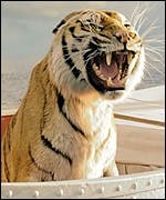 Trailer For Rhythm & Hues Doc Life After Pi