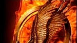 Catching Fire Motion Poster Online
