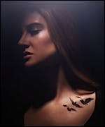 Divergent Posters Land