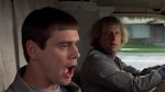 dumb and dumber to