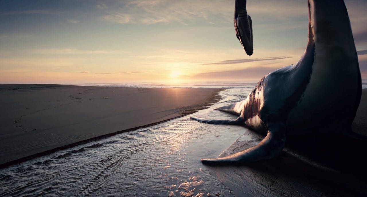 Terrence Malick Faces Lawsuit For Unmade Film