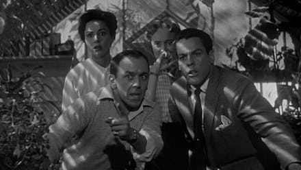 Invasion Of The Body Snatchers