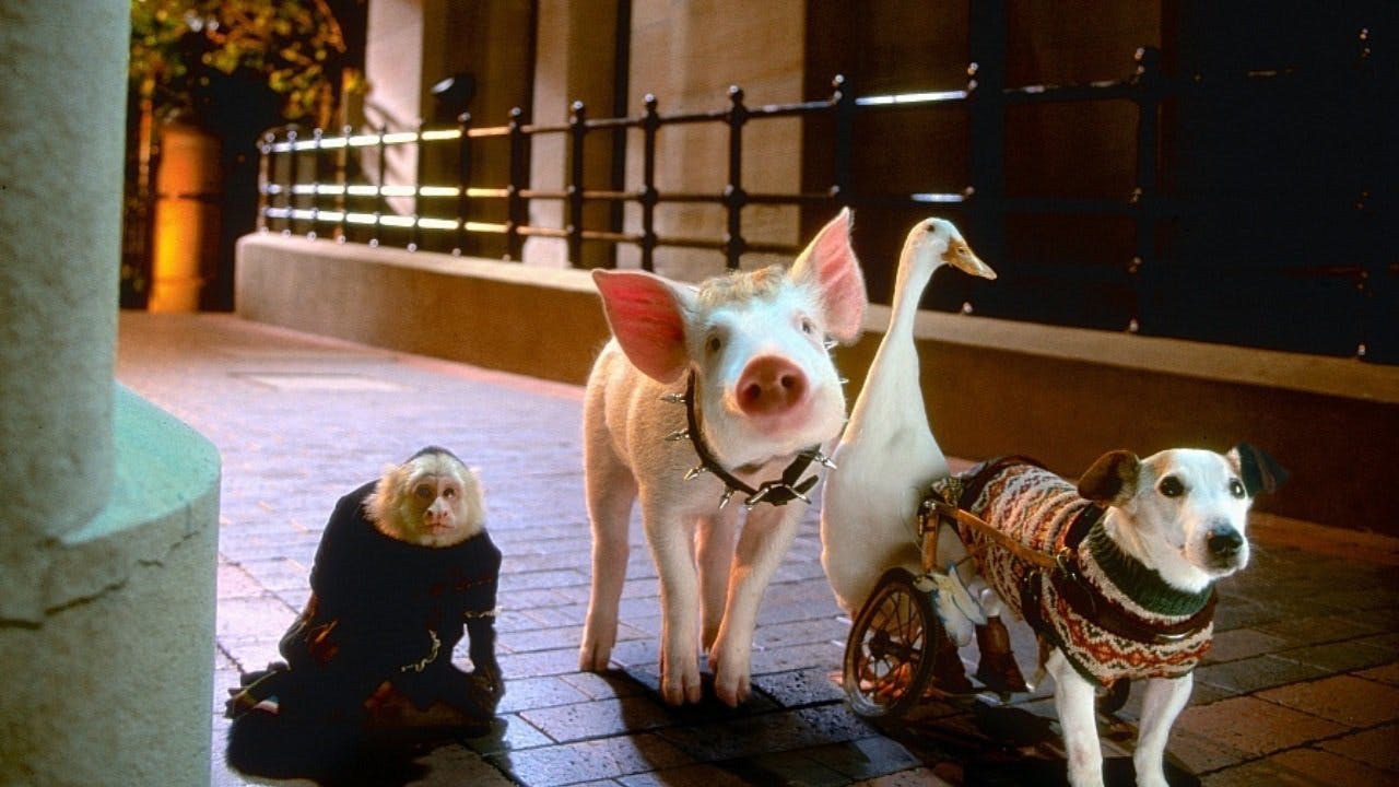 Babe: Pig In The City