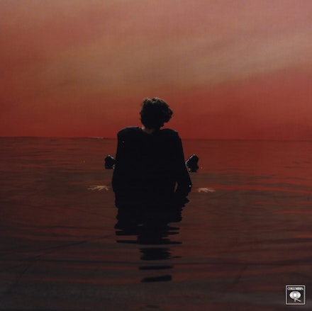 harry harry