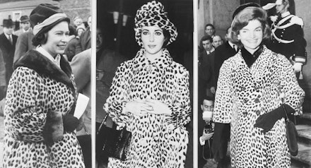 leopard print coat leopard print coat