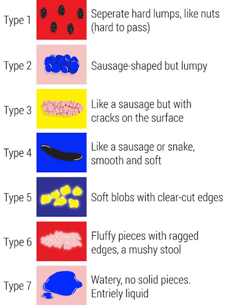 Stool-Chart-web Stool-Chart-web