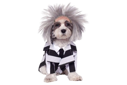 Beetlejuice