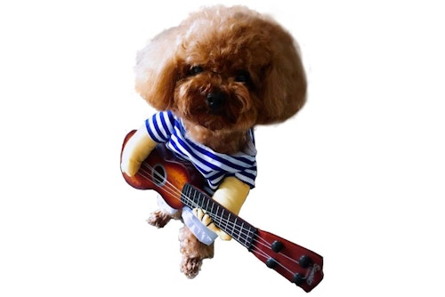 Guitar Player