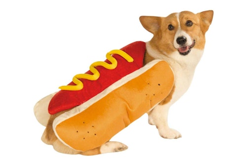 Hotdog Costume
