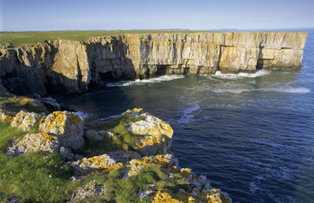 Cliff-scenery-around-Stackpole-Head,-%C2%A9National-Trust-Images-Joe-Cornish Cliff-scenery-around-Stackpole-Head,-%C2%A9National-Trust-Images-Joe-Cornish