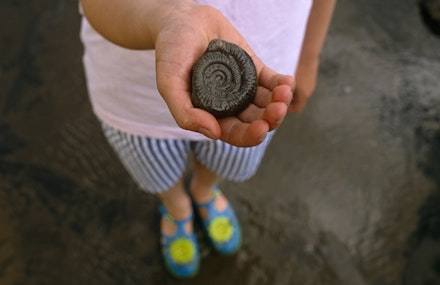 A-child-holding-a-fossil,-on-a-beach-in-Yorkshire-%C2%A9National-Trust-Images-Ian-Shaw A-child-holding-a-fossil,-on-a-beach-in-Yorkshire-%C2%A9National-Trust-Images-Ian-Shaw