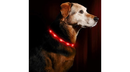 light up collar