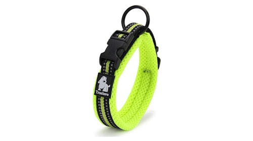 light up collar