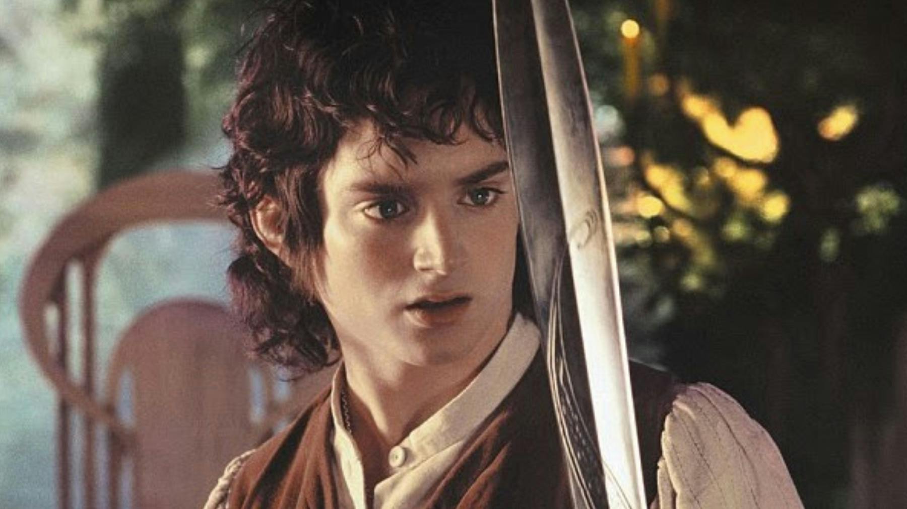 Lord Of The Rings: The Fellowship of the Ring