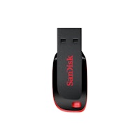 SanDisk 64 GB Cruzer Blade USB Flash Drive