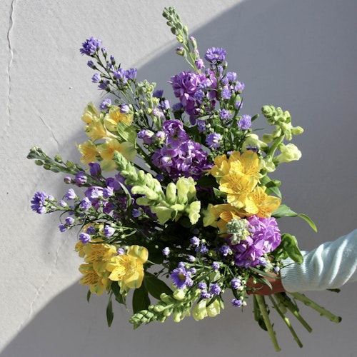 Next, Letterbox Flowers, £20