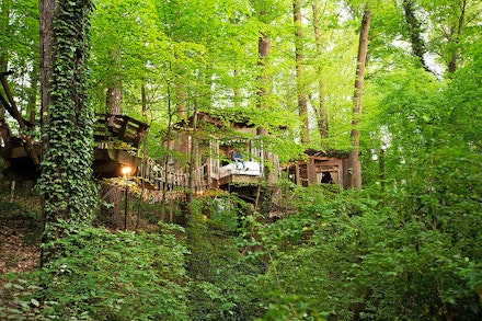 Treetop escape, Georgia, USA Treetop escape, Georgia, USA