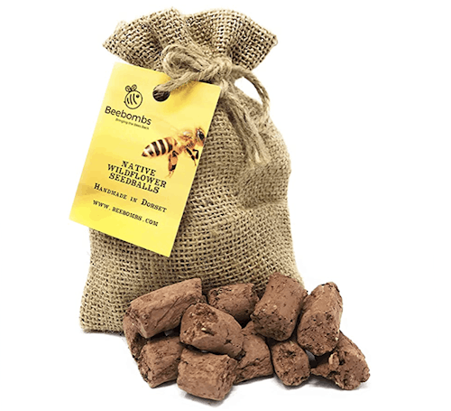 Beebombs Wild Flower Seeds