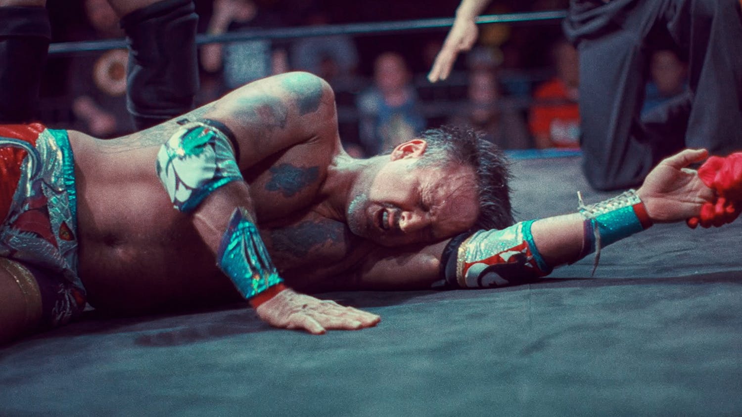 You Cannot Kill David Arquette