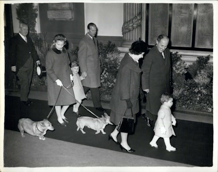 Viscount Linley Viscount Linley