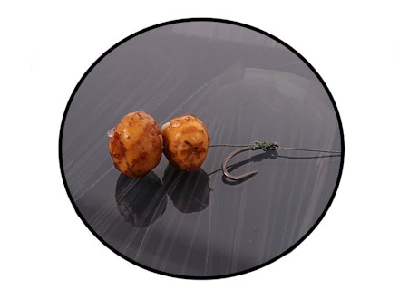 20 AMAZING CARP FISHING BAIT TIPS 20 AMAZING CARP FISHING BAIT TIPS